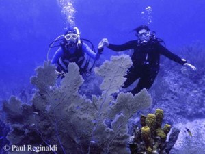 Bobbi & Casey diving together