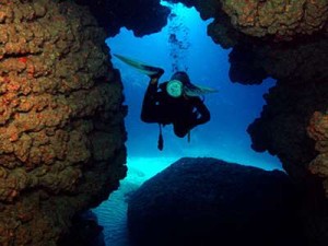 Swim Through Cathedral Reef